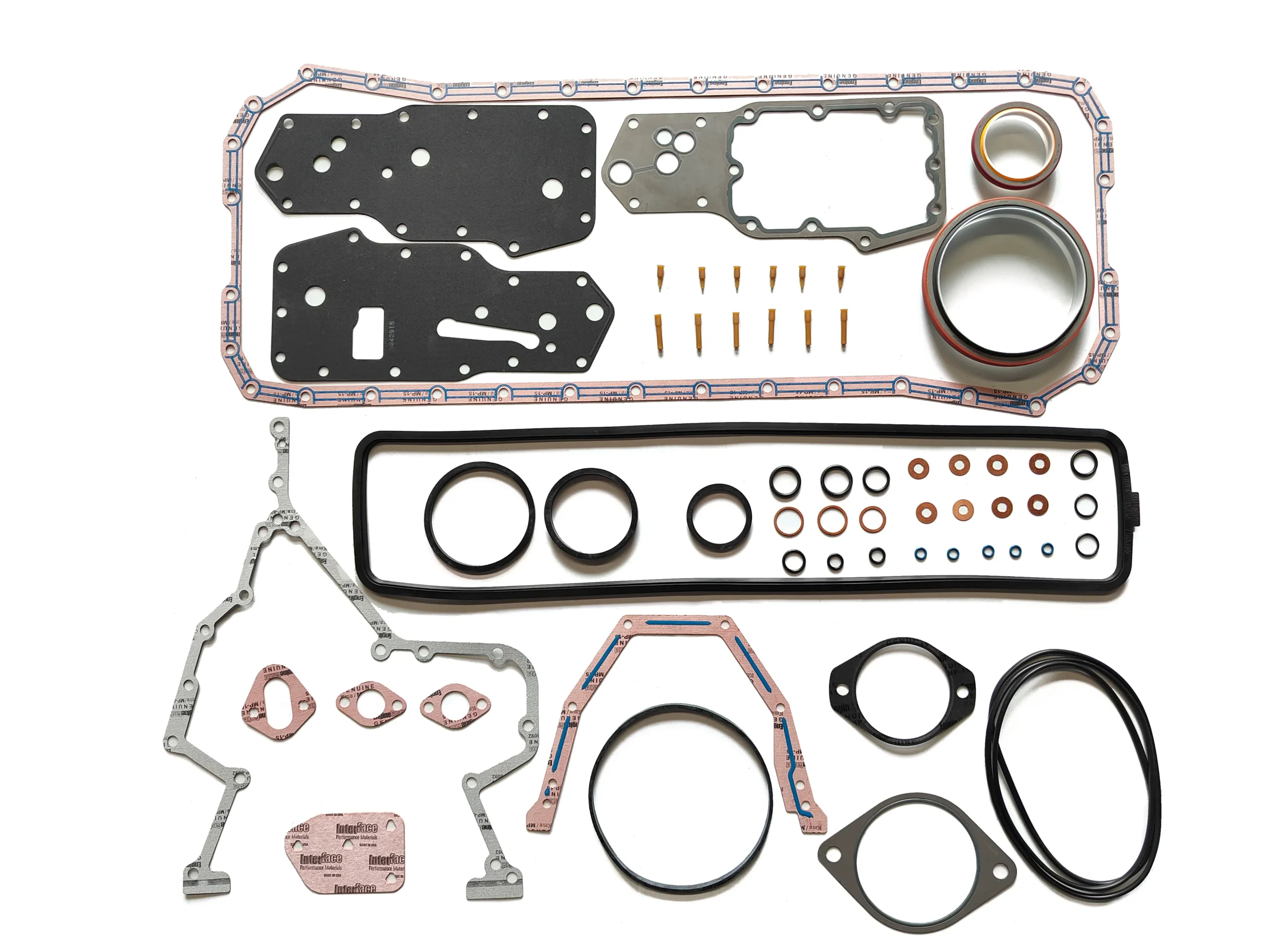 divi psychology college